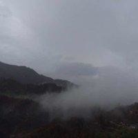 羊迷失