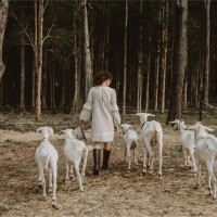 Julie Humphris