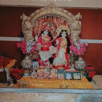 Ashwini Ravalcol