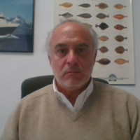 Carlos Sanfeliz