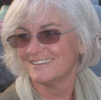 Judy Lipar