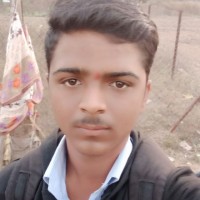 Hemant S Beldar
