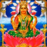 Mangej Rangera