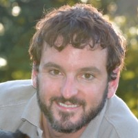 David Rapp