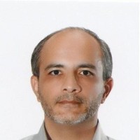 Mohammad R. Jebelli