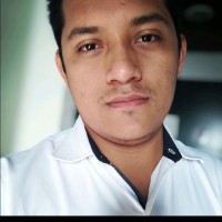 Mario Alberto Canche Flores