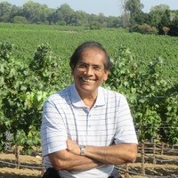 Dilip Sheth