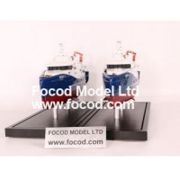 Ship Model Maker-安露 .谭