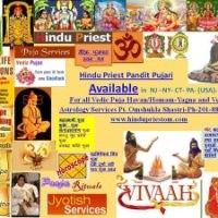 USA Hindu Priest Pandit Pujari