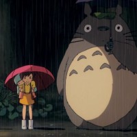 蔡红燕