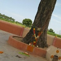 magesh Govindan