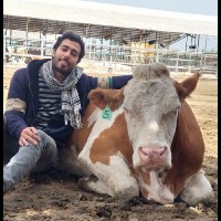 Khaled Abdalsalam
