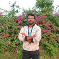 Saravanan N