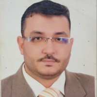 Wael Youssef