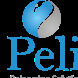 Pelican IT Group