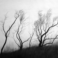Vivienne Harrison