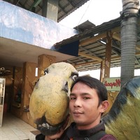 riki arjun