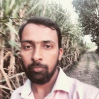 Vasim Shaikh