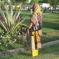 Farwa Sayed