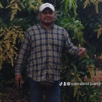 EDER DAVID JUAREZ SEMINARIO