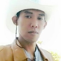 Pohon Dekorasi