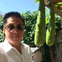 David Duc Nguyen