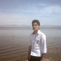 salman daneshfar