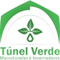 Desarrollo Organizacional