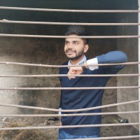 Raghav Arora