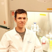 Mark Afanasyev