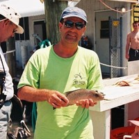 Dave Jones