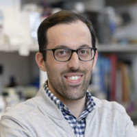 Ivan Cohen