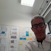 Mauro Irrera