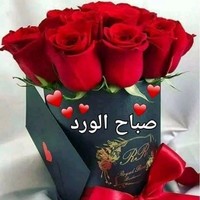بثينة الصفار