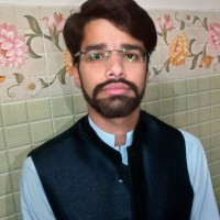 Syed Hamza Ali Shah