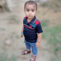 Saiful Sarder