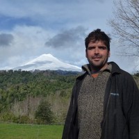 Guillermo Palacios Rodríguez