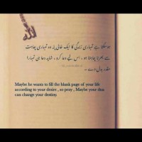 Bushra Rasheed