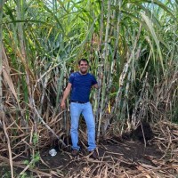 Oscar de Jesús Zamorano Cruz