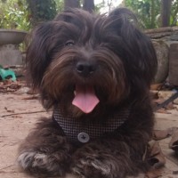 Noelito Pagaduan