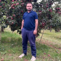 Koray Erdem