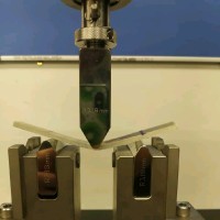 Muhammad Fadhil Mohd Radzi