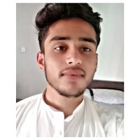 Malik Ali Raza
