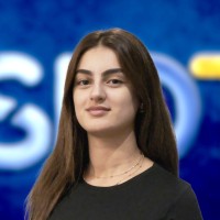 Berfi̇n Ateş