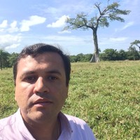 Cardoso Roberto