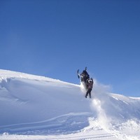 Travis Benteau