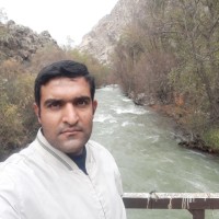 Mahdi (Abolfazl) Zolfaghari Arefi