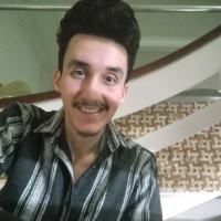 Parsa A. Sharafkandi