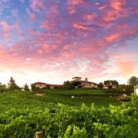 Wise Villa Winery
