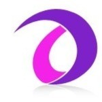 Deesolo International Pte Ltd